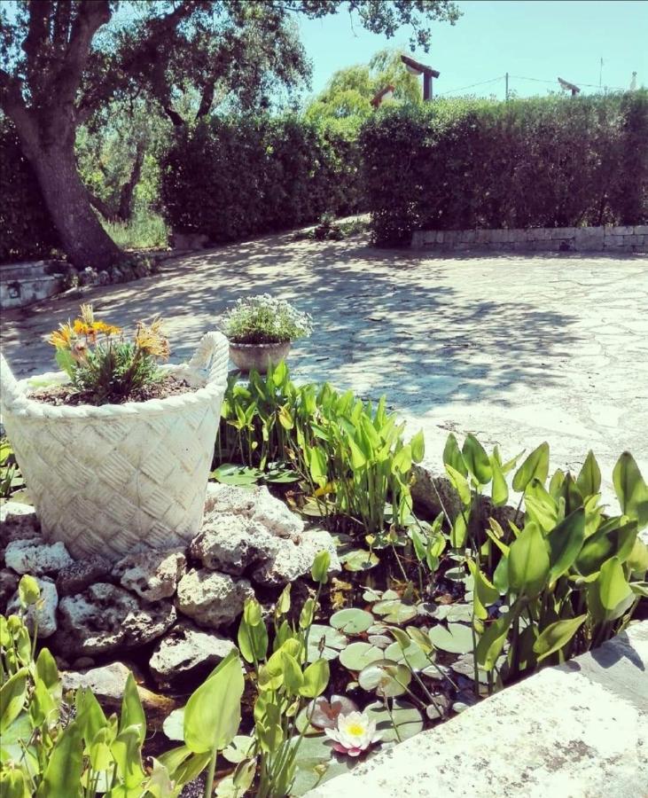 Trulli Francesca Ciclovia Villa Locorotondo Kültér fotó