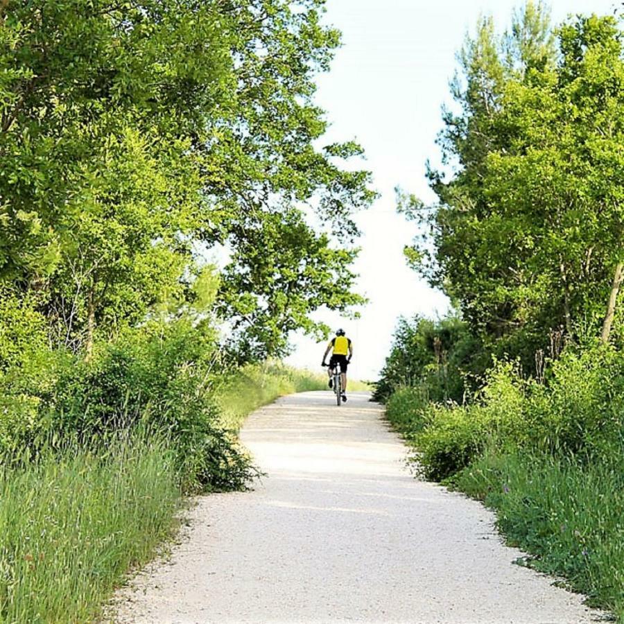 Trulli Francesca Ciclovia Villa Locorotondo Kültér fotó